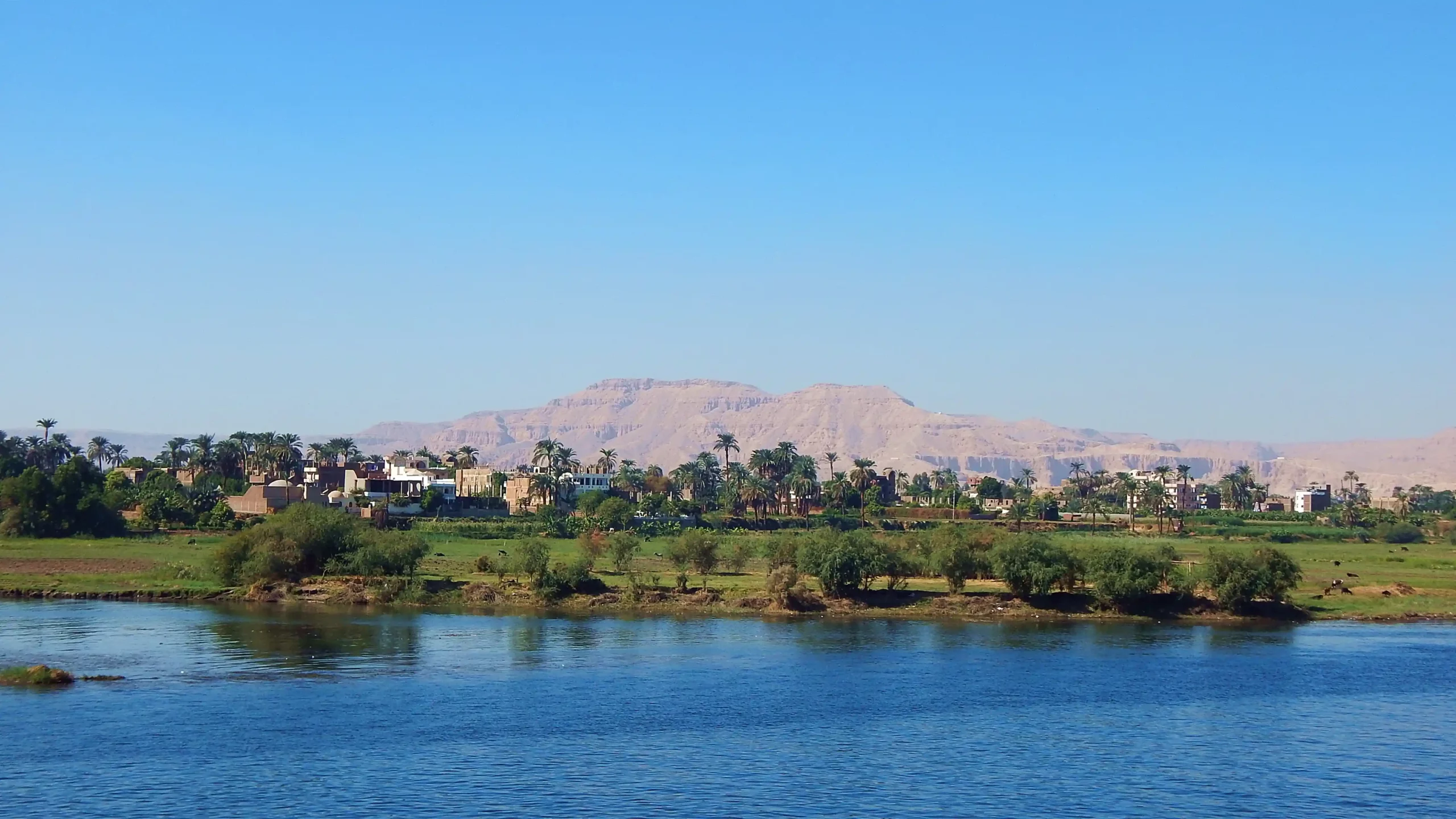 Aegypten_Luxor_Nilufer