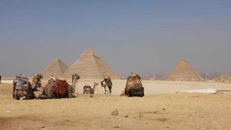 Aegypten_Pyramiden_Gizeh_Kairo_Kamel