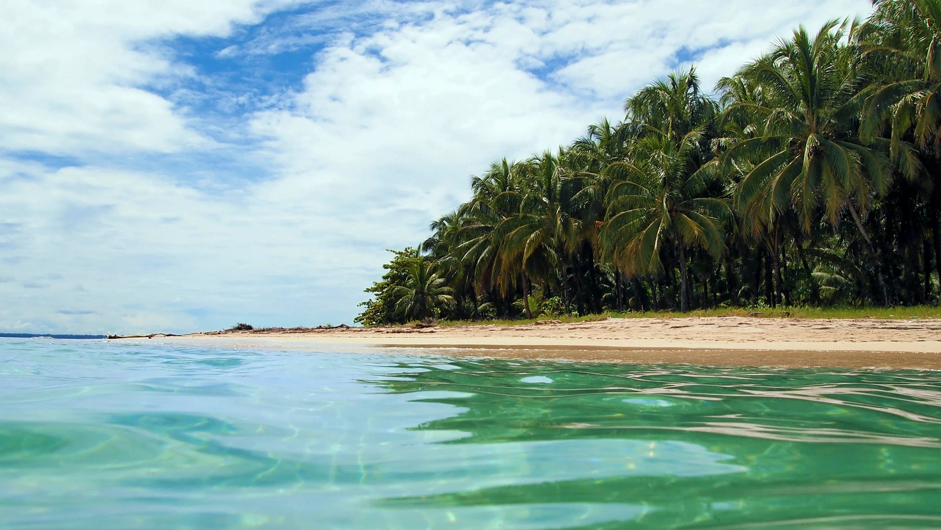 Costa Rica_Strand_Meer_Palmen