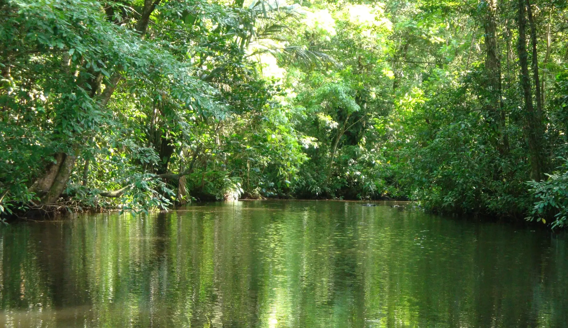 Costa-Rica_Tortuguero