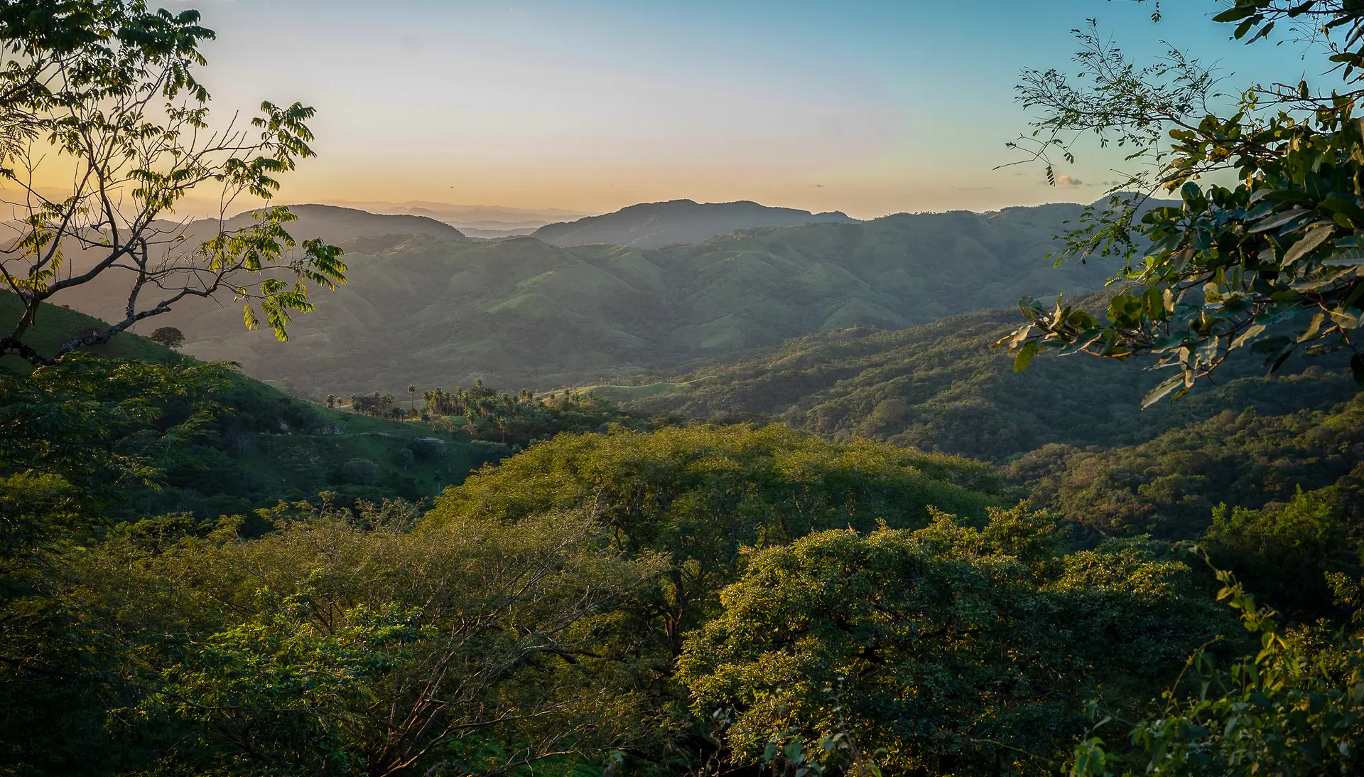 Costa-Rica_Urwald