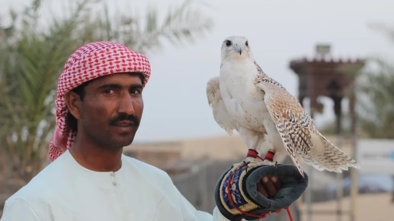 Dubai_Wueste_desert-safari_Falcon_Falke