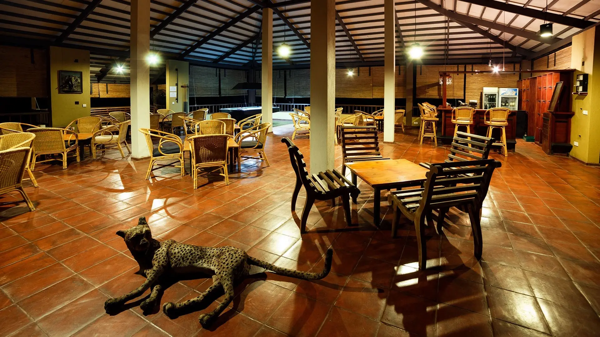 Elephant-Reach-Yala_Bar