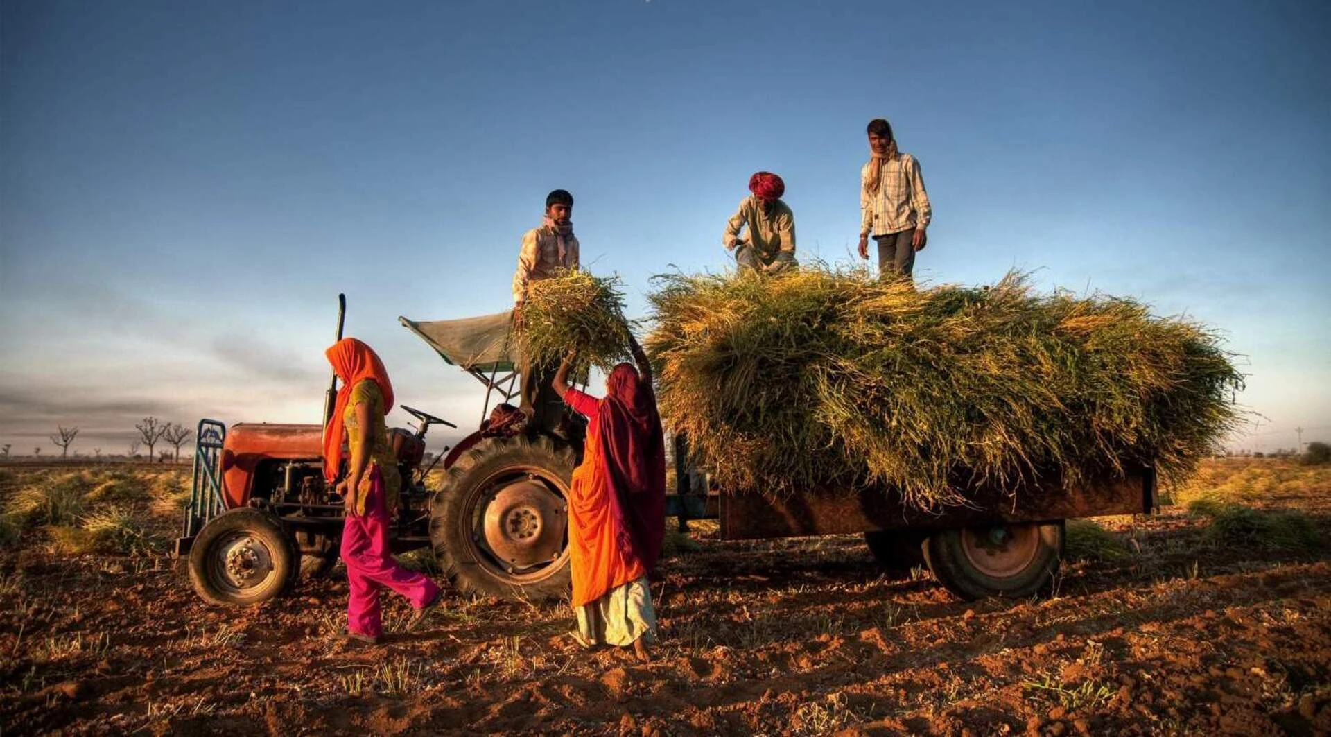 Indien_Jaipur_Rural-scene-near-Jaipur-Rajasthan