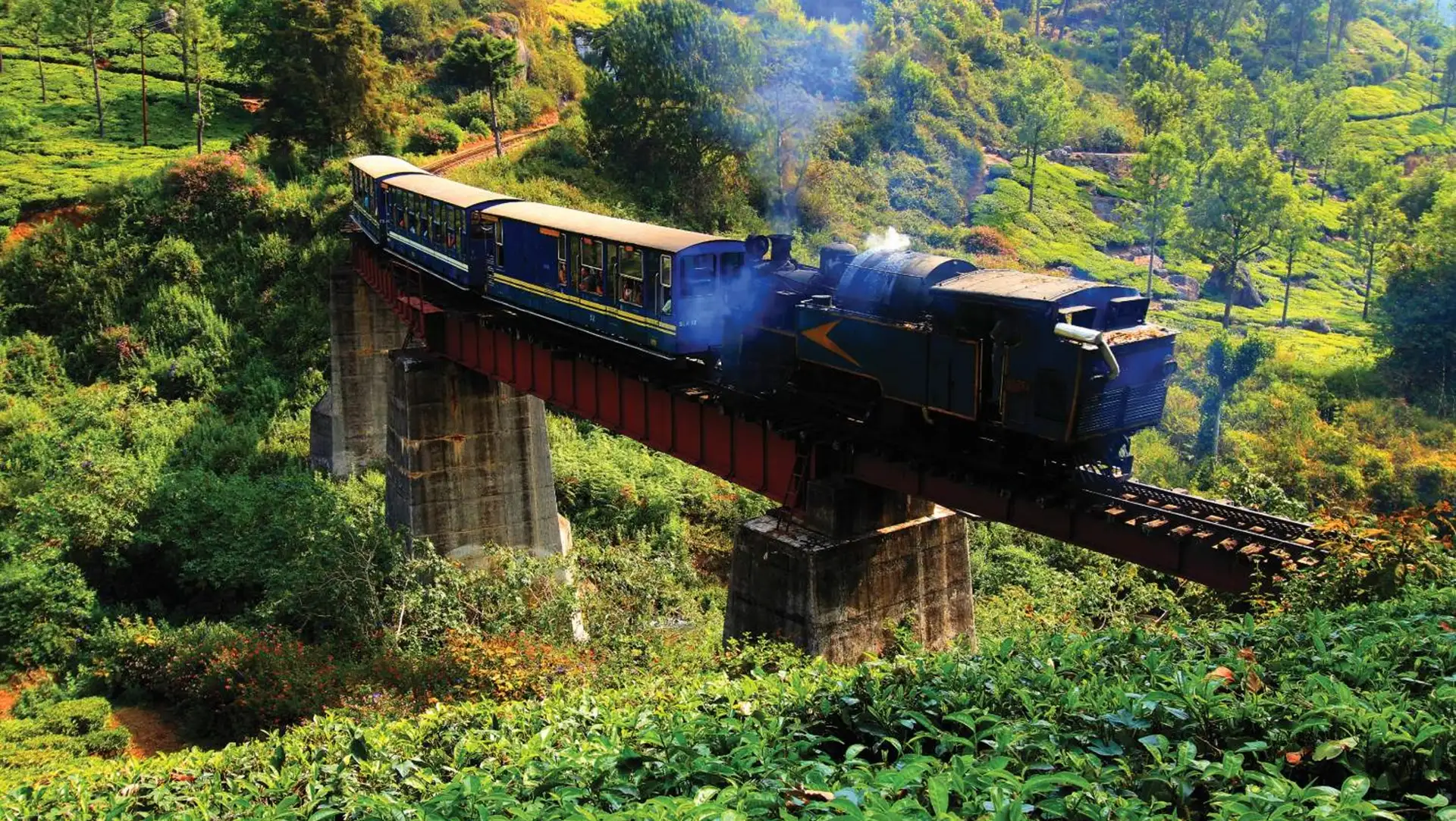 Indien_Ooty_Nilgiri-Toy-Train_Nilgiri-Mountain-Railway