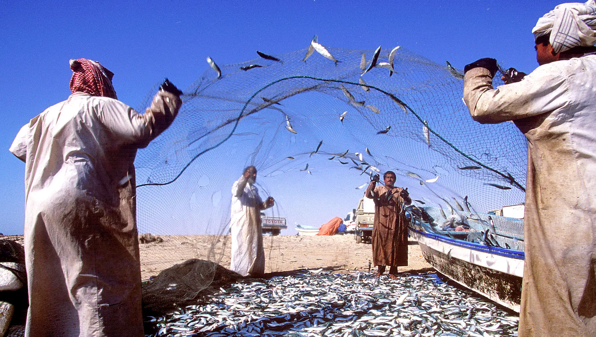 Oman_Fischer_Fischmarkt