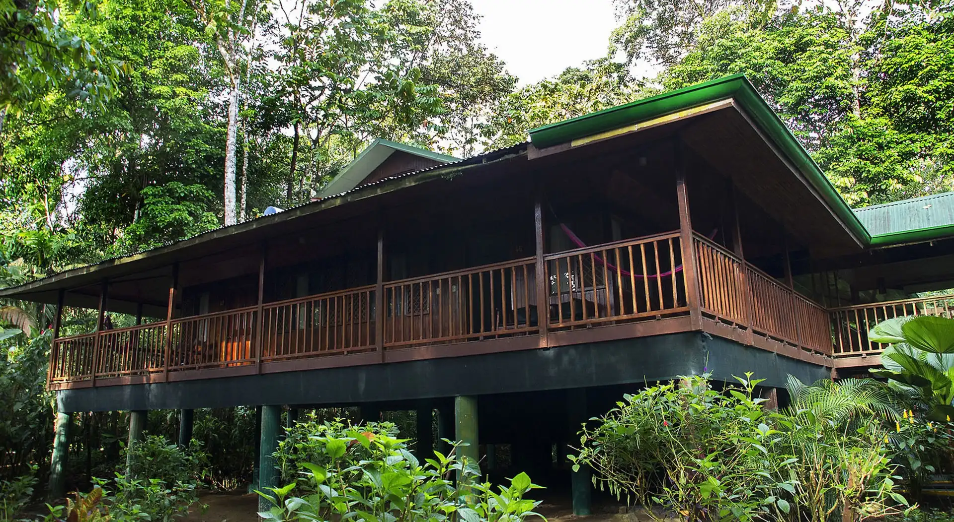 Selva-Verde-Lodge