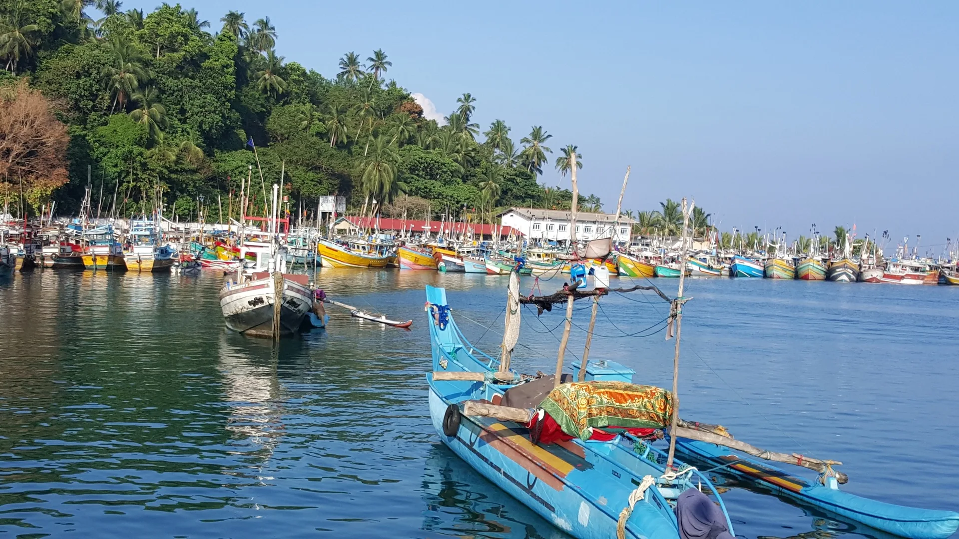 Sri-Lanka_Negombo_Boote