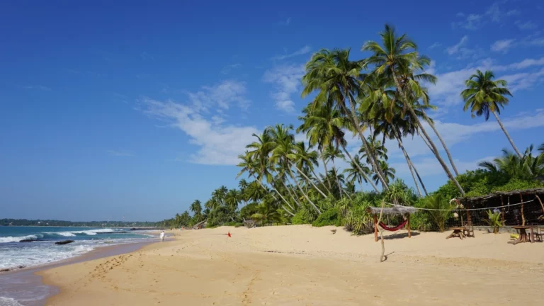 Sri-Lanka_Strand_Sonne_Meer_Palmen