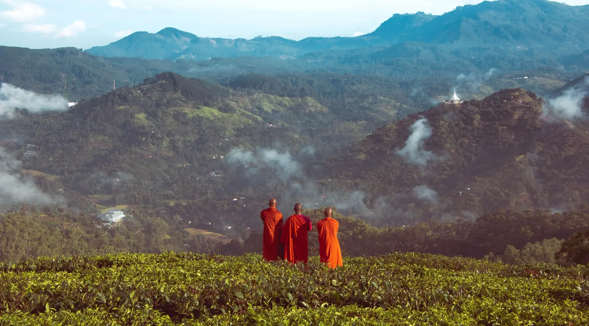 Sri-Lanka_Teefelder_Moenche