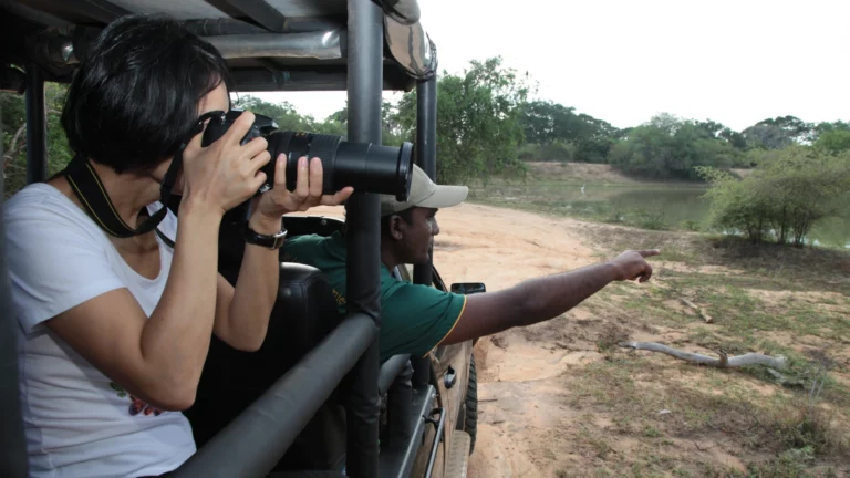 Sri Lanka_Wilpattu_safari