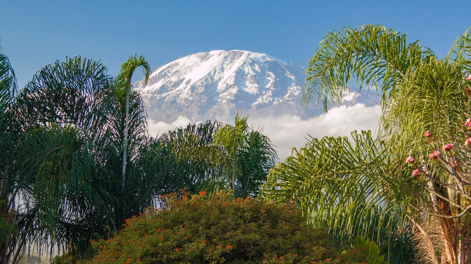 Tansania_Kilimanjaro