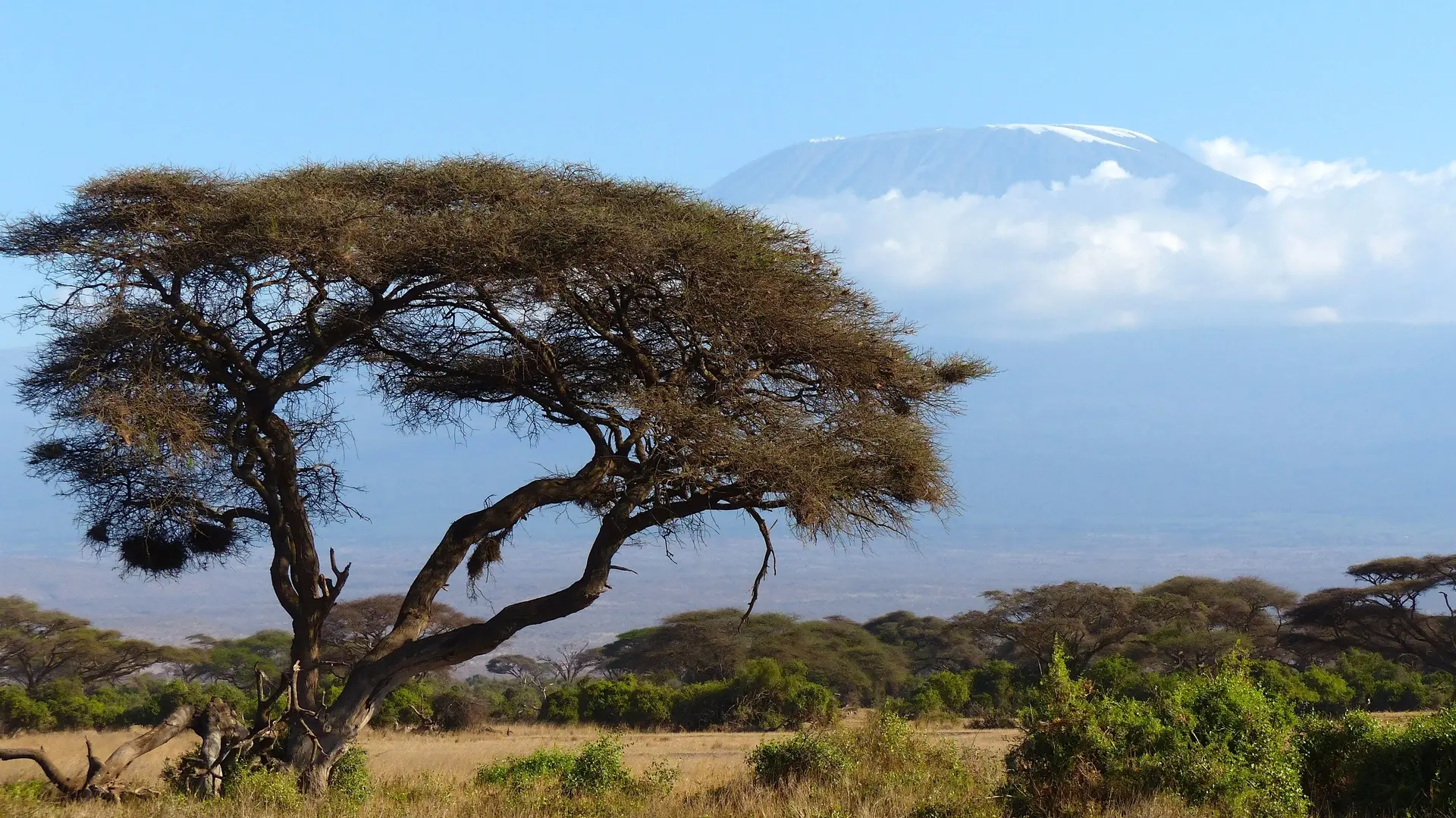 Tansania_Kilimanjaro