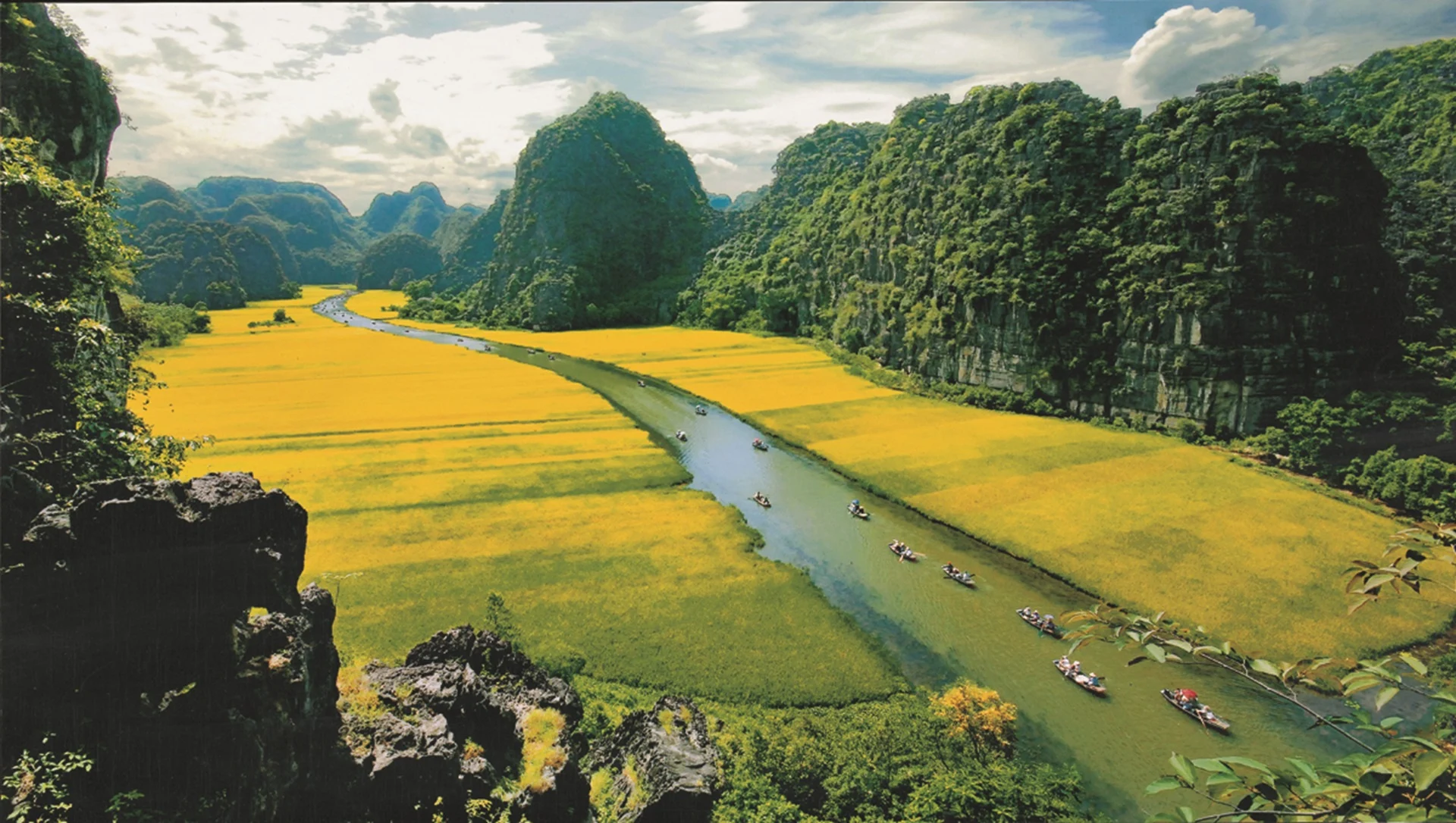 Vietnam_Golden-valley